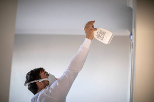 Best Black Mold Removal  in Decorah, IA