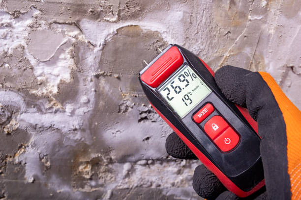 Professional Mold Removal in Decorah, IA