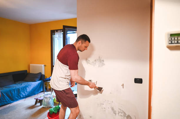Best Fast Mold Removal  in Decorah, IA