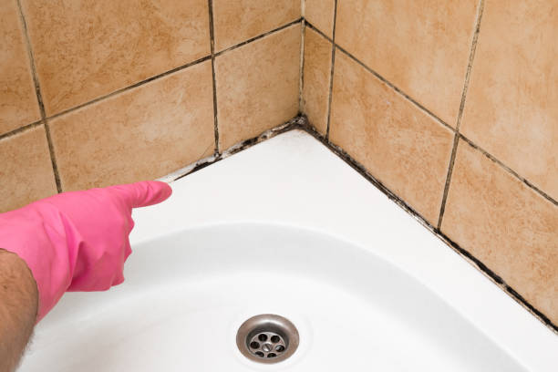 Best Office Mold Removal Services  in Decorah, IA